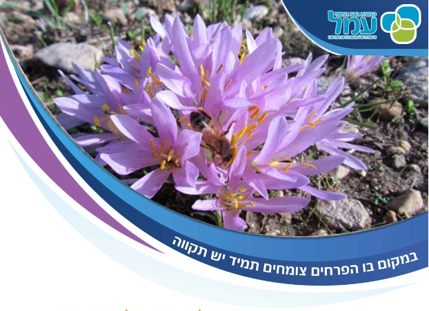 תחרות רשתית מרהיבה של צילומי פרחי ארץ ישראל !