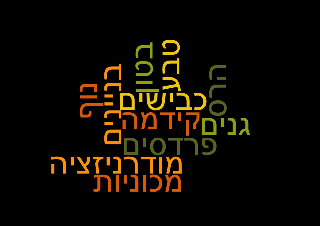 תמונה 3